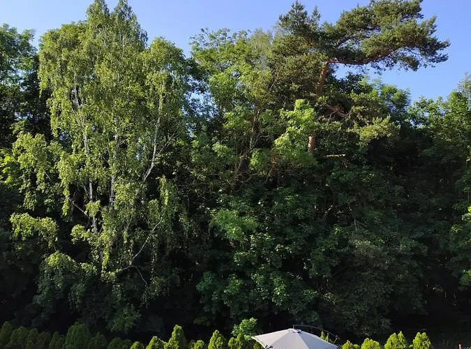 Goscinne Ontario Mieroszyno بيت ضيافة 3*